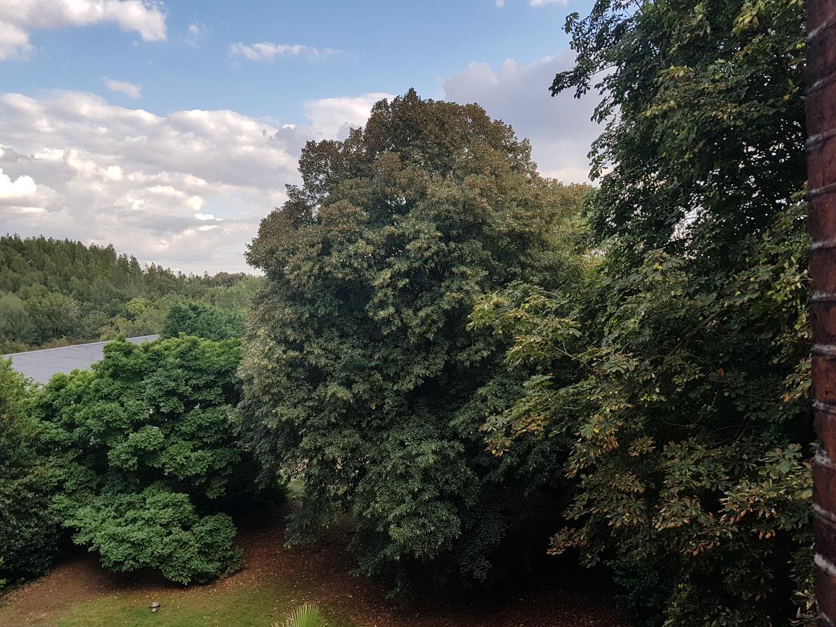 Chateau Lambert Moulinsart Hotel, Shuttle Airport, Long Term Parking, Snooker, Large Terrasse, Dinner, Breakfast 沙勒罗瓦 外观 照片