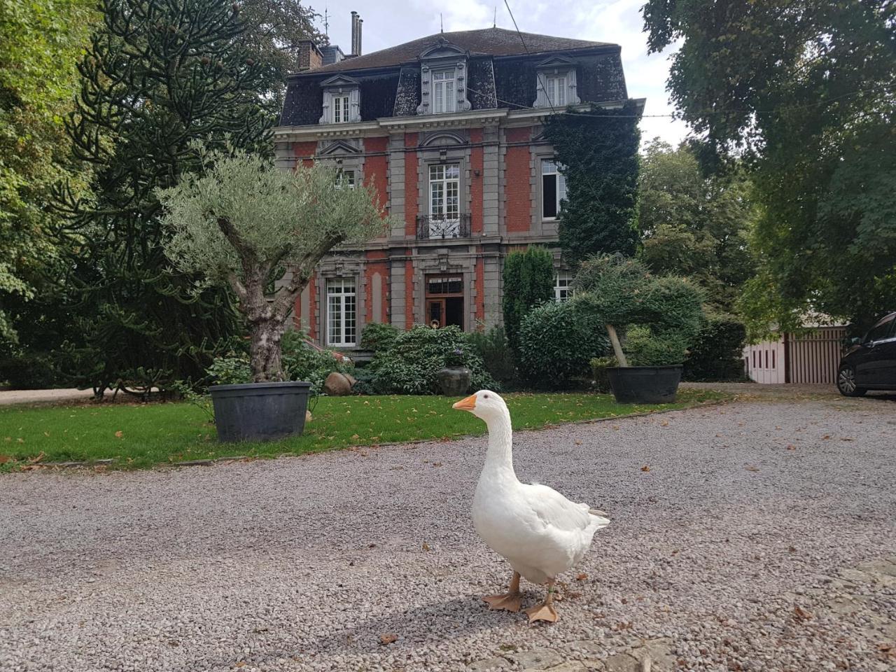 Chateau Lambert Moulinsart Hotel, Shuttle Airport, Long Term Parking, Snooker, Large Terrasse, Dinner, Breakfast 沙勒罗瓦 外观 照片
